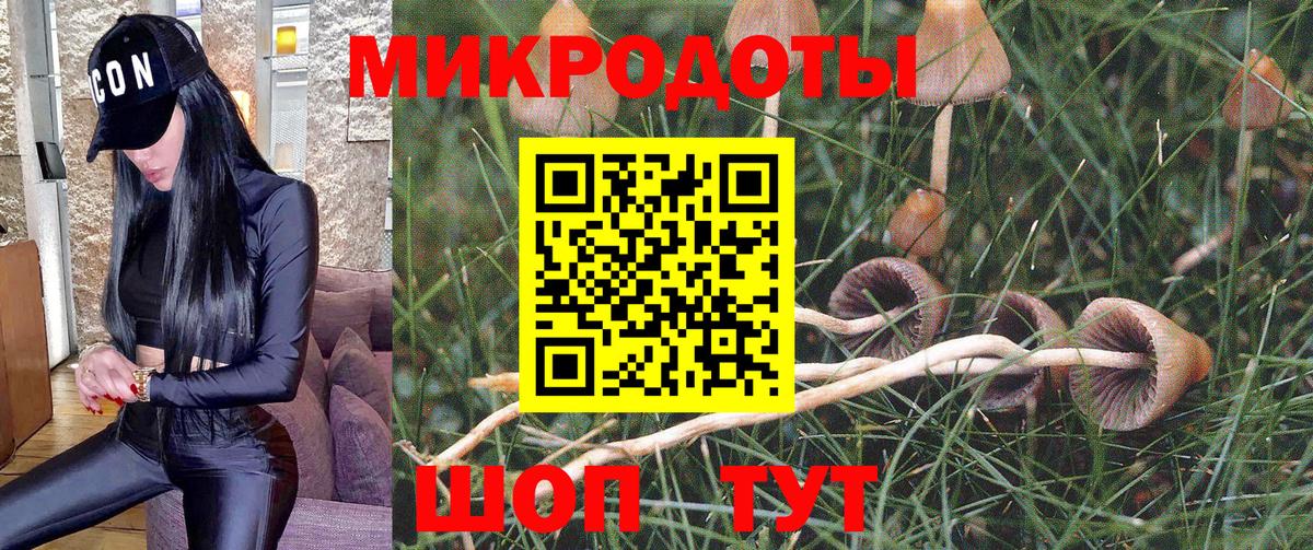 Галлюциногенные грибы Magic Shrooms  Псилоцибиновые грибы Psilocybe  Свободный  Вход с VPN 