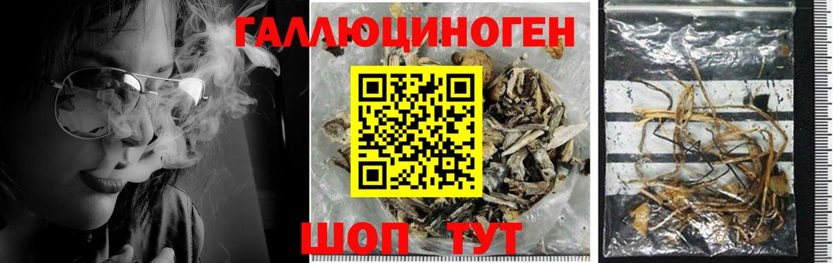 Псилоцибиновые грибы MAGIC MUSHROOMS Свободный